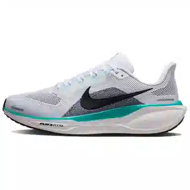Nike Pegasus 41 White Blue