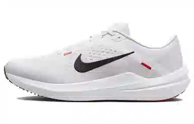 Nike Air Winflo 10 White Black