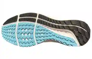 Nike Air Zoom Pegasus 39