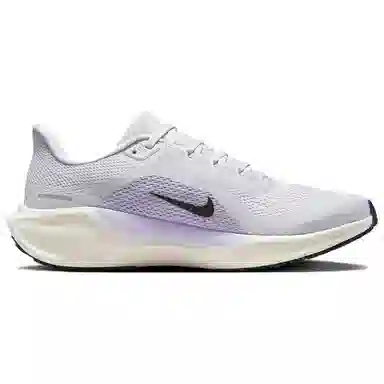 Nike Pegasus 41 Purple Gray