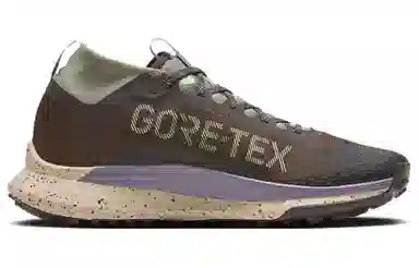 Nike Pegasus Trail 4 Brown