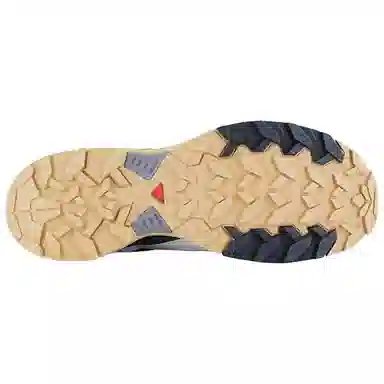 Salomon X Ultra 360 Edge GTX