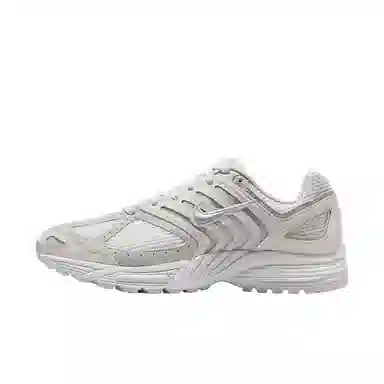 Nike Air Pegasus 2005 SE