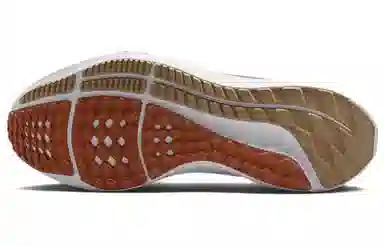 Nike Air Zoom Pegasus 40