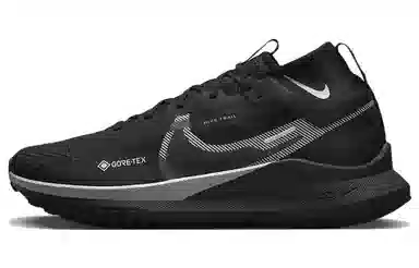 Nike Pegasus Trail 4 Gore-Tex