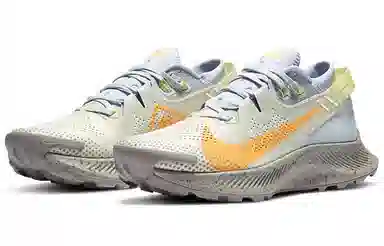 Nike Pegasus Trail 2