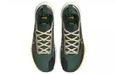 Nike Pegasus Trail 4 Gore-Tex