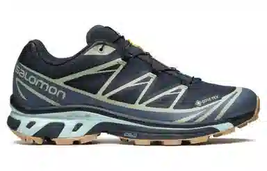 Salomon XT-6