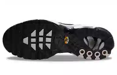 Nike Air Max Plus Retro Low Black Grey