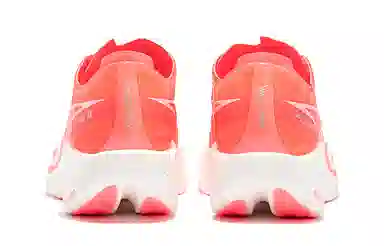 361 Fei Ran 2 Fluorescent Begonia Pink