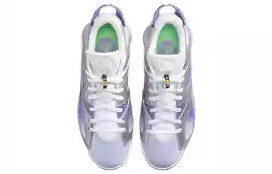 Jordan Air Jordan 6 Retro 6 G NRG Golf Shoes Purple White
