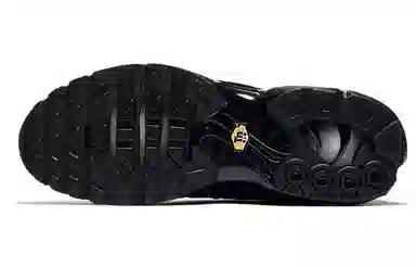 Nike Air Max Plus Black