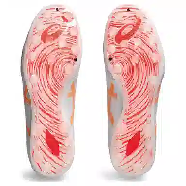 Asics DS LIGHT PRO White