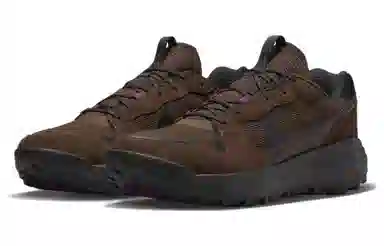 Nike ACG Lowcate Dark Brown