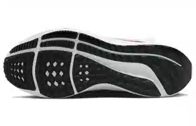 Nike Pegasus FlyEase