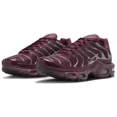 Nike Air Max Plus Brown