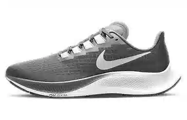 Nike Pegasus 37