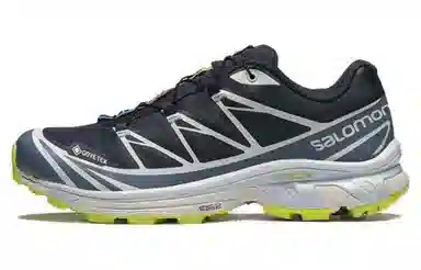 Salomon GTX