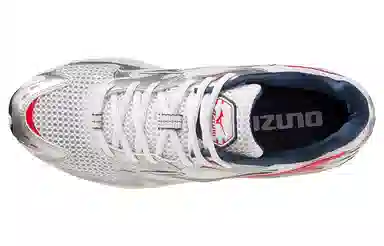 Mizuno Wave Rider 10 Silver
