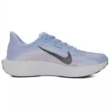 Nike Pegasus Plus Blue