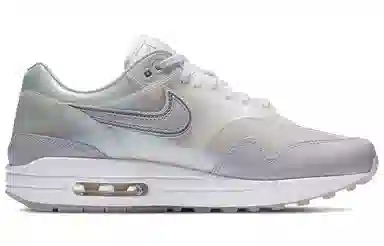 Nike Air Max 1 SNKRS Day White Silver