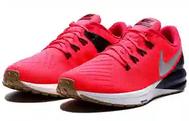 Nike Zoom Structure 22