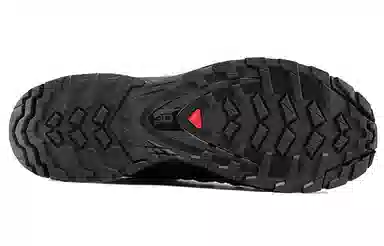 Salomon XA Pro 3D V8 GTX