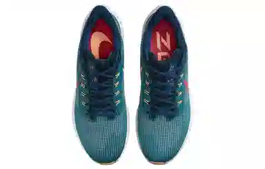 Nike Air Zoom Pegasus 39 Purple