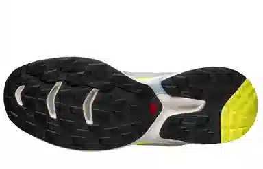 Salomon Xt-Wings 2 Rose Ashes