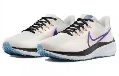 Nike Air Zoom Pegasus 39 White Blue