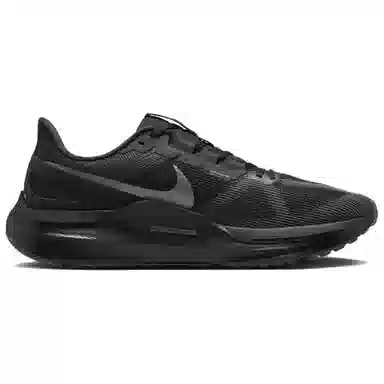 Nike Zoom Structure 25 Black