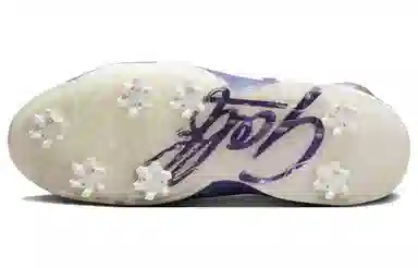 Jordan Air Jordan 6 Retro 6 G NRG Golf Shoes Purple White