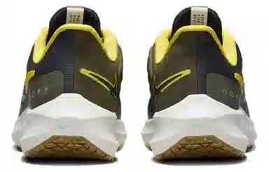 Nike Pegasus Turbo Shield Brown