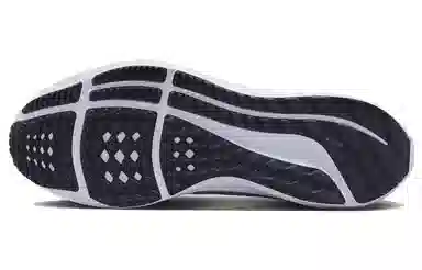 Nike Air Zoom Pegasus 40 Black