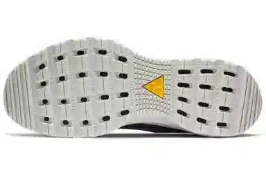 Nike ACG Air Zoom AO Grey Gold