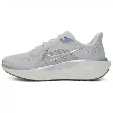 Nike Air Zoom Pegasus 41 Grey