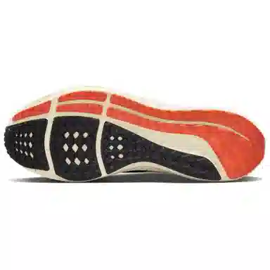 Nike Air Zoom Pegasus 39