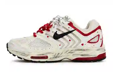 Nike Air Pegasus 2K5