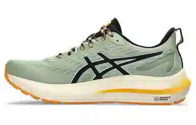 Asics GT-2000 12