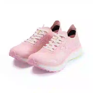 Kawasaki Feihu Series