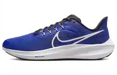 Nike Air Zoom Pegasus 39 Blue