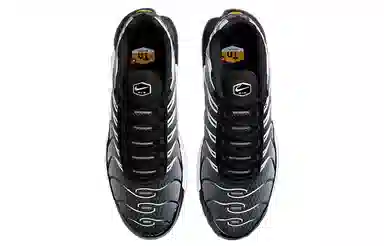 Nike Air Max Plus Retro Low Black Grey