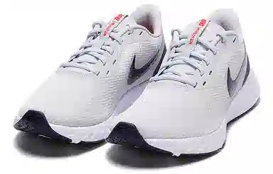 Nike Revolution 5 Grey