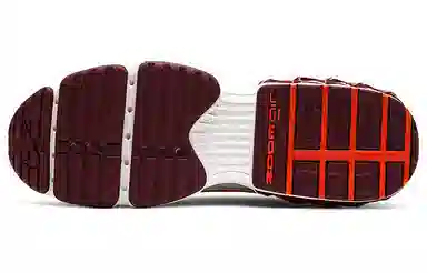 Nike Zoom Air Fire Dark Beetroot