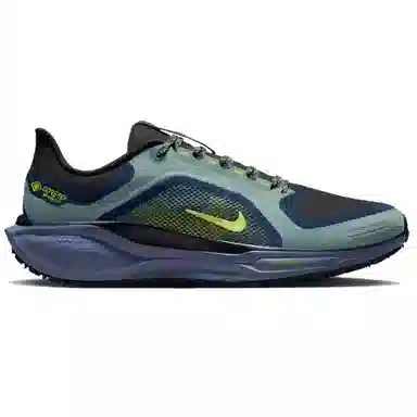 Nike Air Zoom Pegasus 41 Gore-Tex