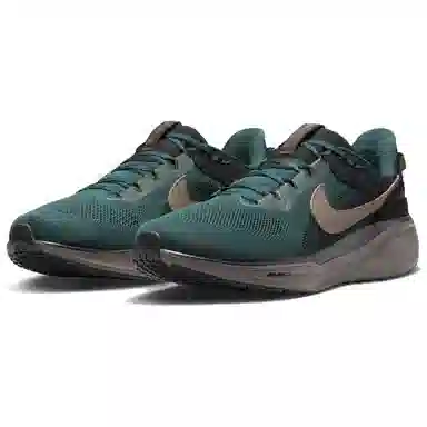 Nike Air Zoom Pegasus 41 SP