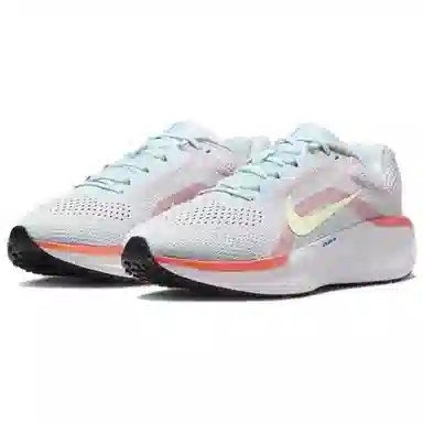 Nike Air Winflo 11