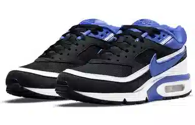 Nike Air Max BW Persian Violet