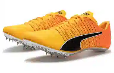 PUMA evoSPEED Orange