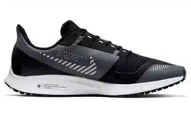Nike Pegasus 36 Shield Black Silver